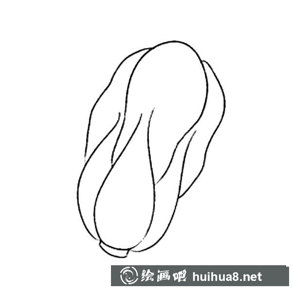 大白菜简笔画