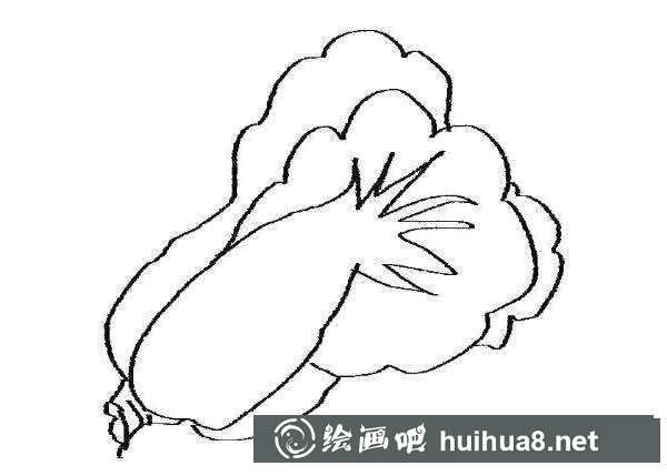 简笔画白菜的画法