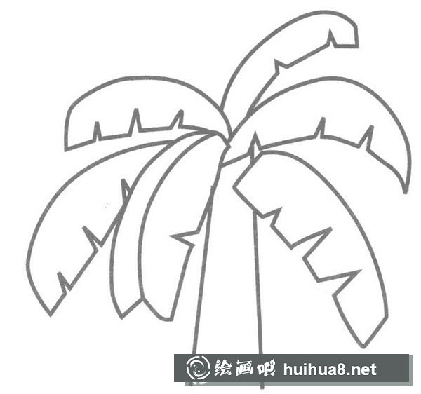 芭蕉简笔画