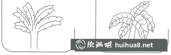 芭蕉简笔画