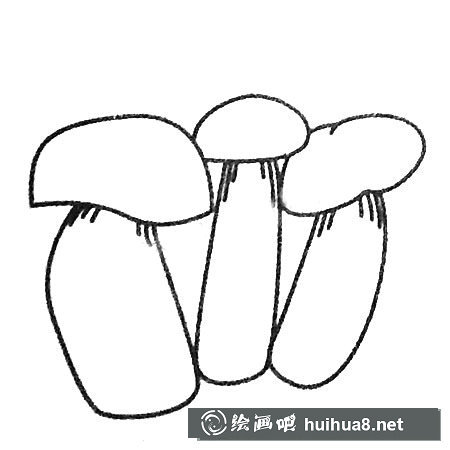各种各样的蘑菇简笔画图片大全