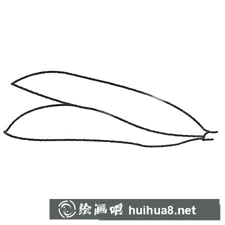 豌豆简笔画大全及画法步骤