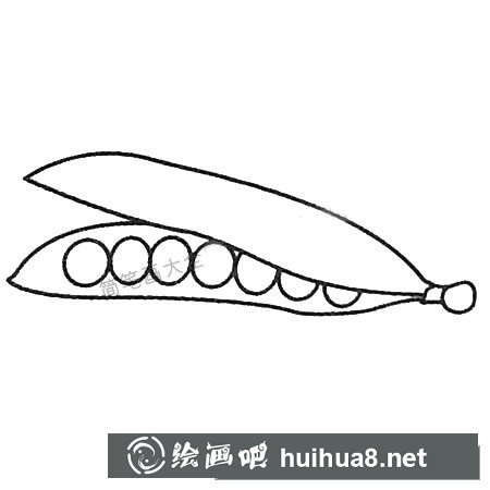 豌豆简笔画大全及画法步骤