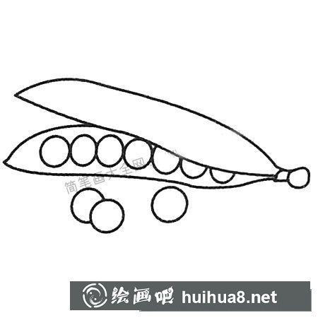 豌豆简笔画大全及画法步骤