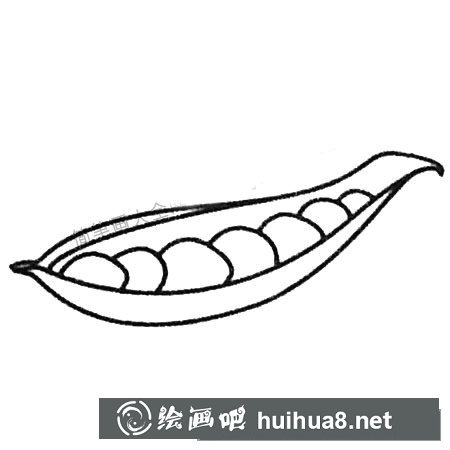 豌豆简笔画大全及画法步骤