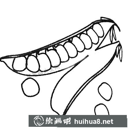 豌豆简笔画大全及画法步骤
