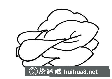 蔬菜上海青简笔画怎么画