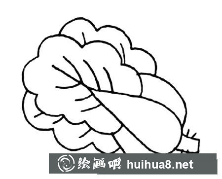 蔬菜上海青简笔画怎么画