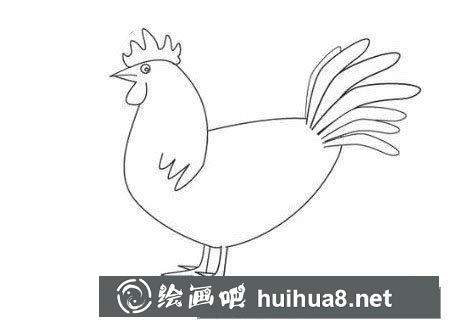 大公鸡的画法图片