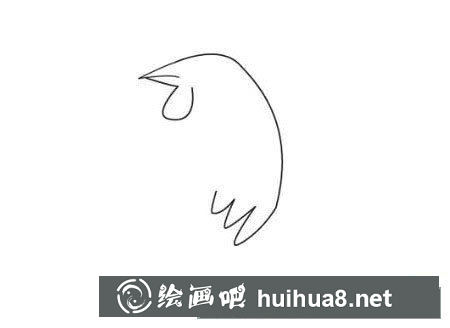 大公鸡的画法图片