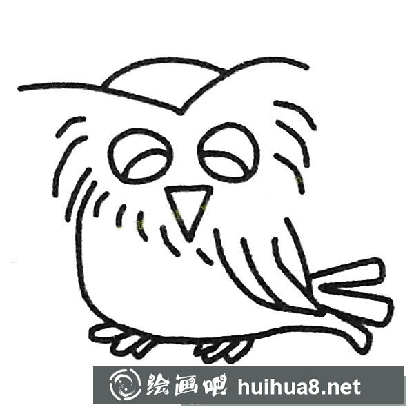 猫头鹰简笔画图片
