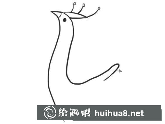 怎么画孔雀简笔画步骤教程