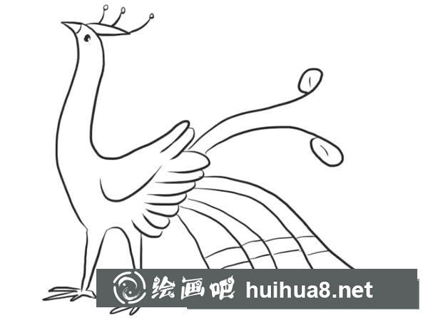 怎么画孔雀简笔画步骤教程
