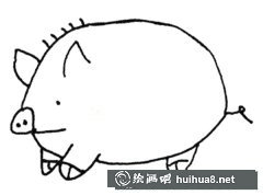 大肥猪简笔画教学可爱教程