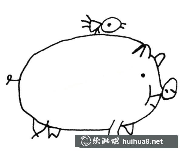 可爱的大肥猪简笔画画法图片