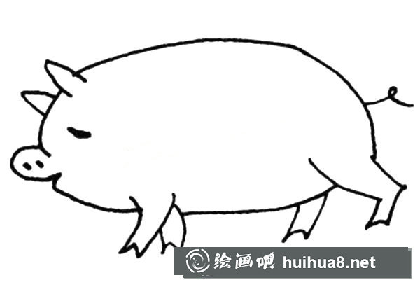 可爱的大肥猪简笔画画法图片