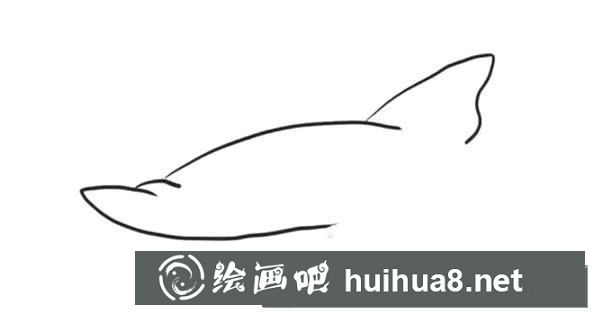 简笔画鲨鱼的画法步骤图