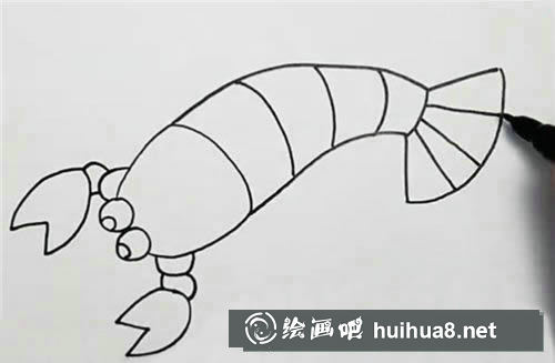 龙虾身体纹理