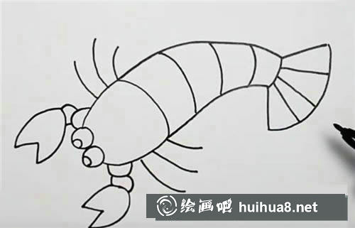 龙虾触须