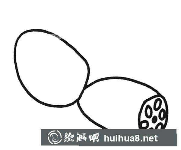 莲藕简笔画图片1