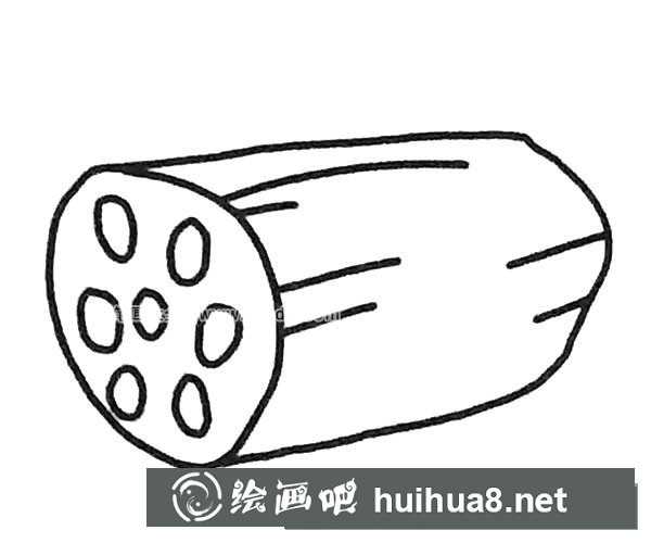 莲藕简笔画图片3