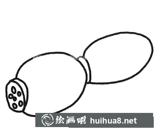 莲藕简笔画图片5