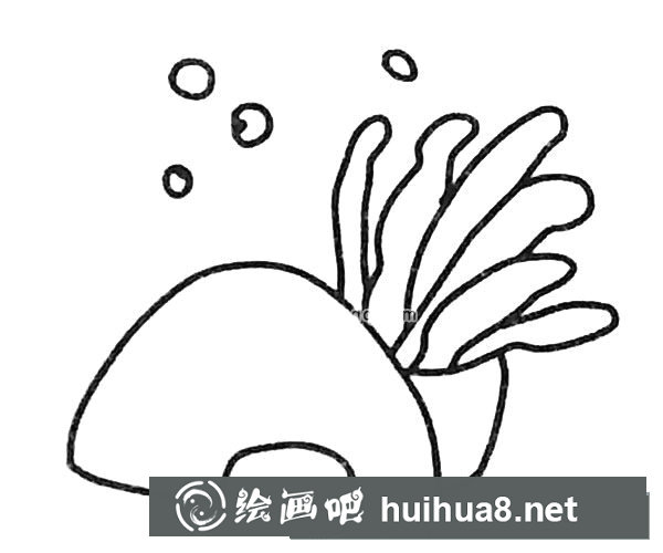 卡通海葵简笔画