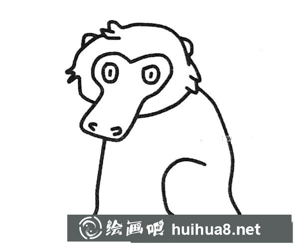 狒狒简笔画图片4