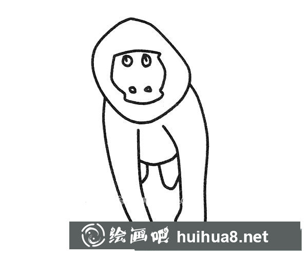 狒狒简笔画图片6