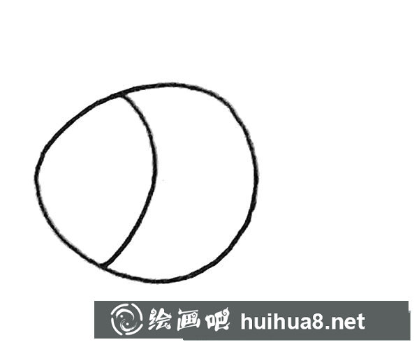 孔雀鱼简笔画步骤2