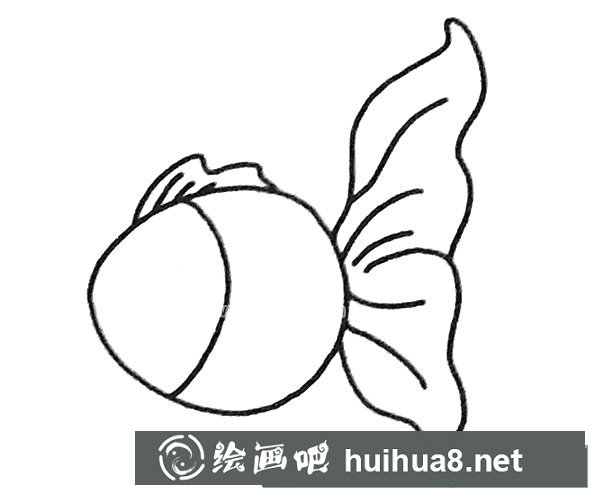 孔雀鱼简笔画步骤3