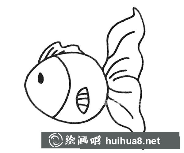 孔雀鱼简笔画步骤4