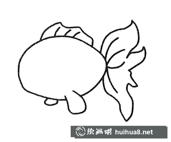 金鱼简笔画步骤3
