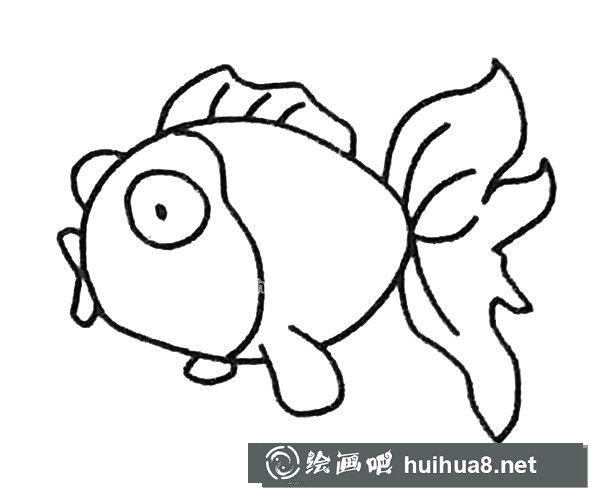 金鱼简笔画步骤4