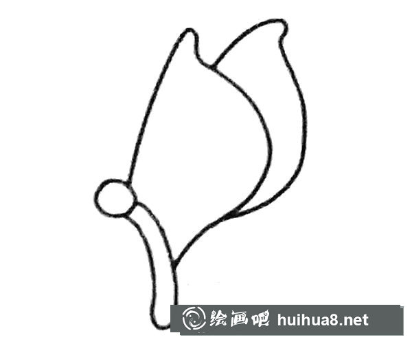 蝴蝶简笔画步骤2