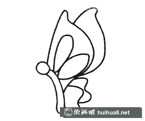 蝴蝶简笔画步骤3
