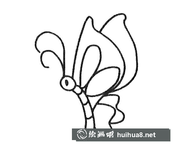 蝴蝶简笔画步骤4