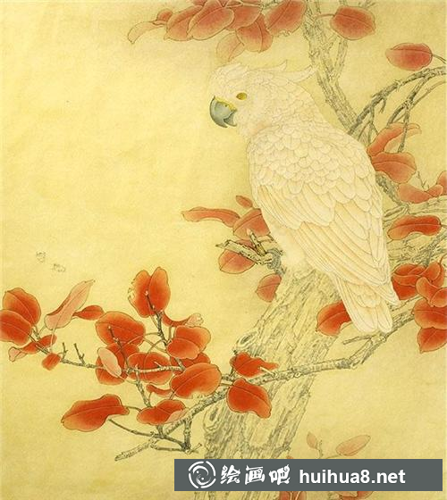 统染鸟羽