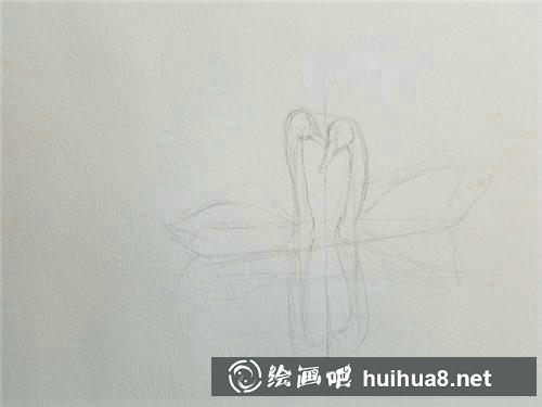 天鹅线稿