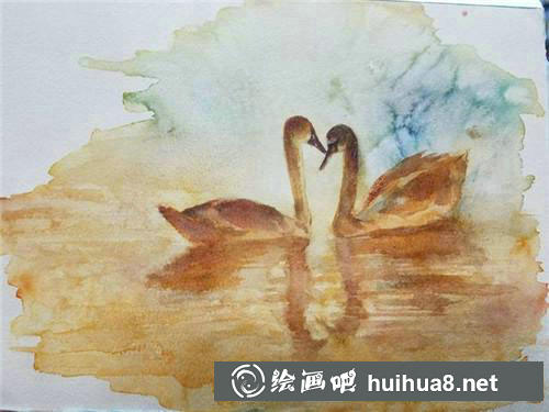 天鹅绘制