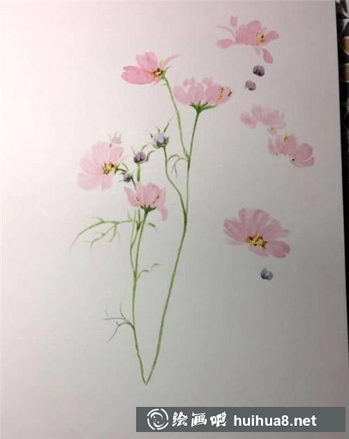秋英绘画步骤4