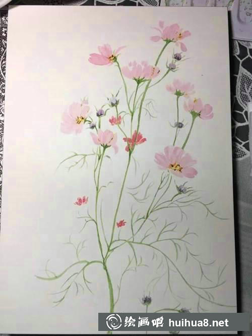 秋英绘画步骤5