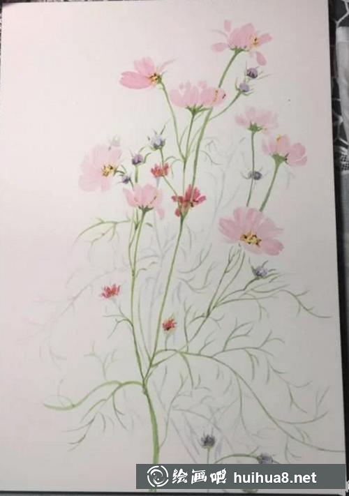 秋英绘画步骤6