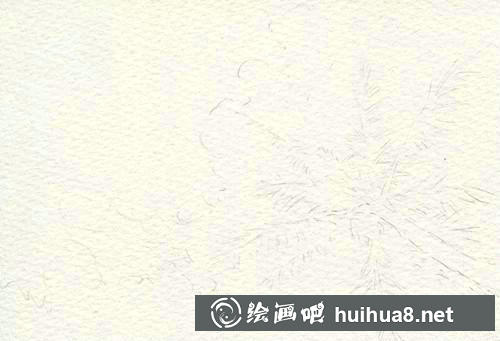 椰子树轮廓