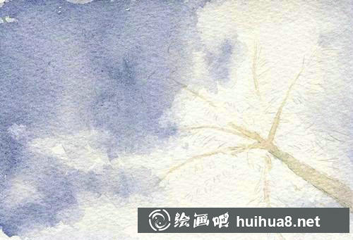 椰子树底色