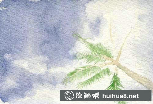 叶子形状