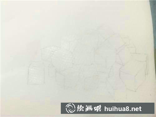 茯苓线稿