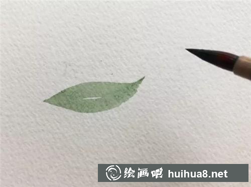 叶片绘制