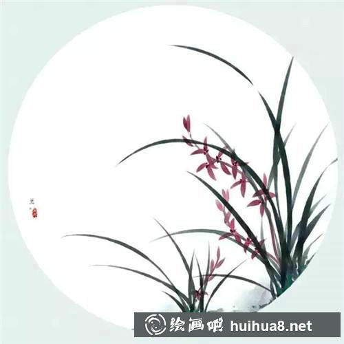 兰花