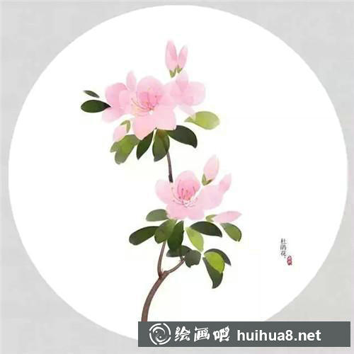 杜鹃